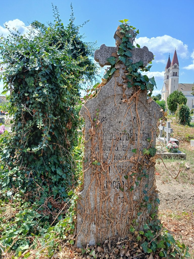 20250730_122650.jpg