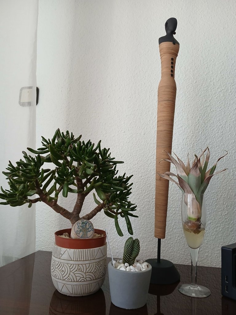 20250626_165408.jpg