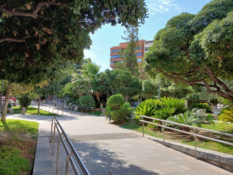 20250813_104842.jpg