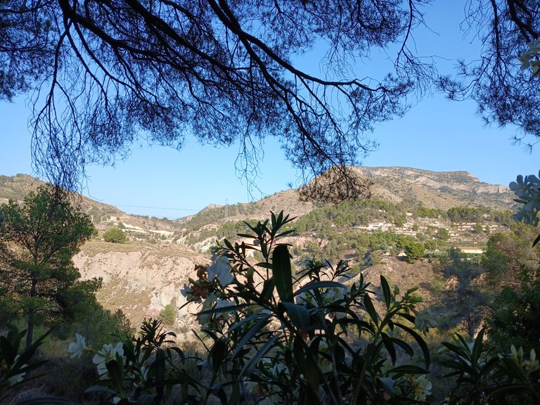 20250715_194441.jpg