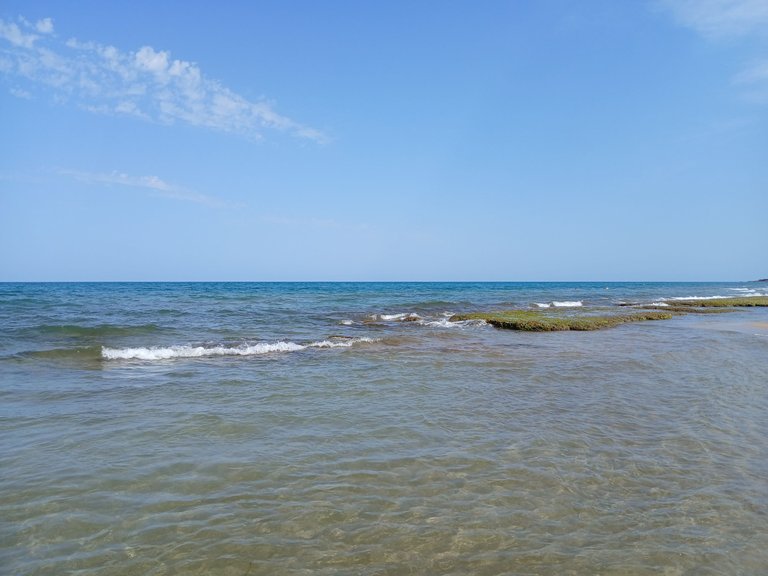 20250618_171529.jpg