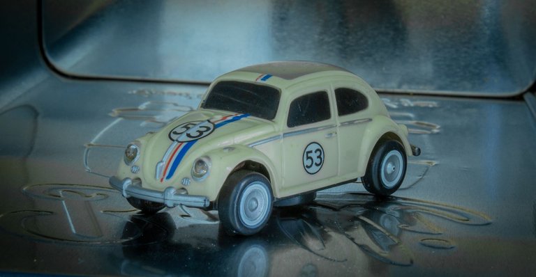 beetle-4860635_1920.jpg