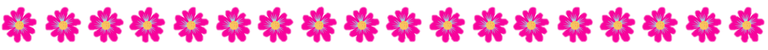 floresrosa.png