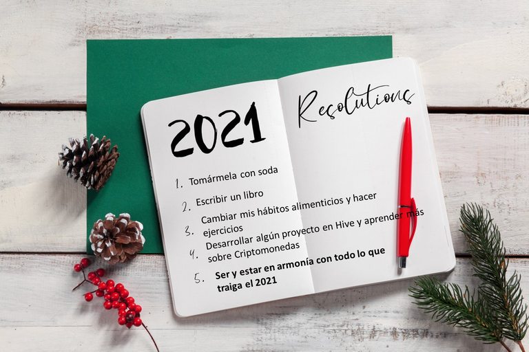 2021 Resoluciones.png