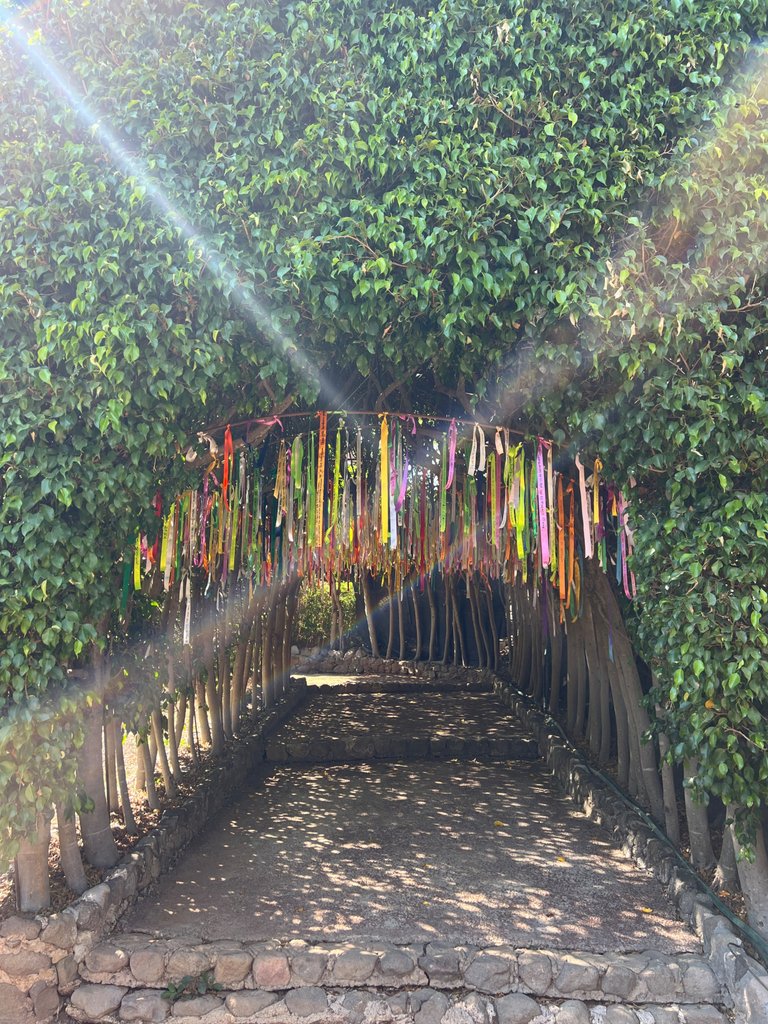 IMG_9219.jpeg