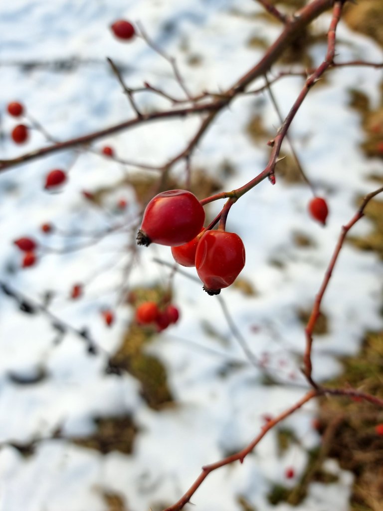 20230211_164051.jpg