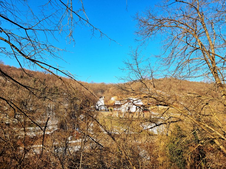 20230208_111520.jpg