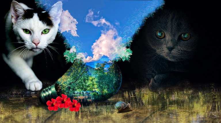  Collage 112.png