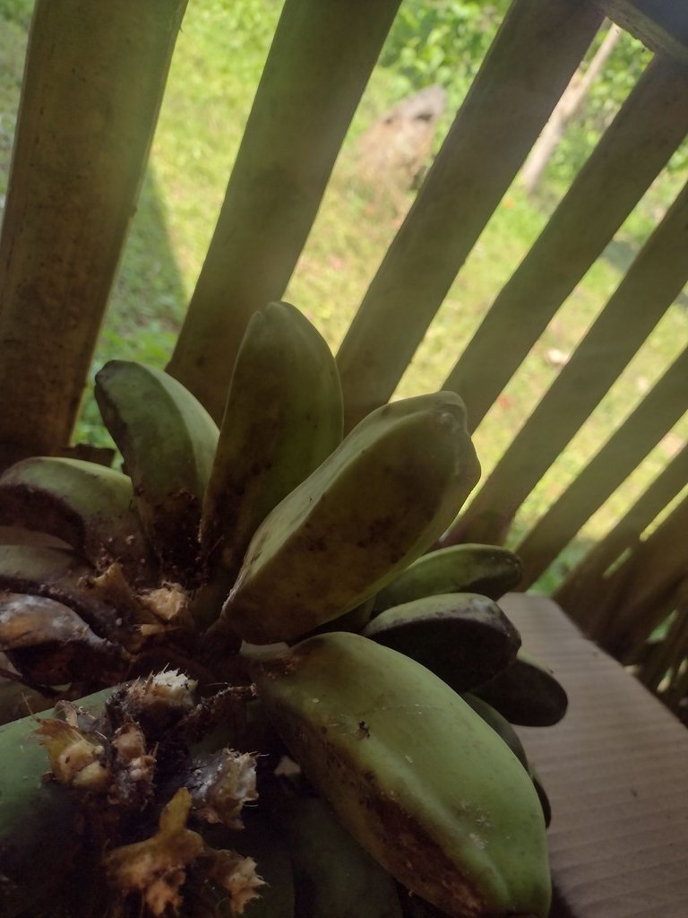 IMG_20250601_095418602_HDR.jpg