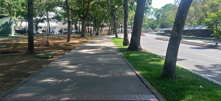 20230504_150239_HDR.jpg