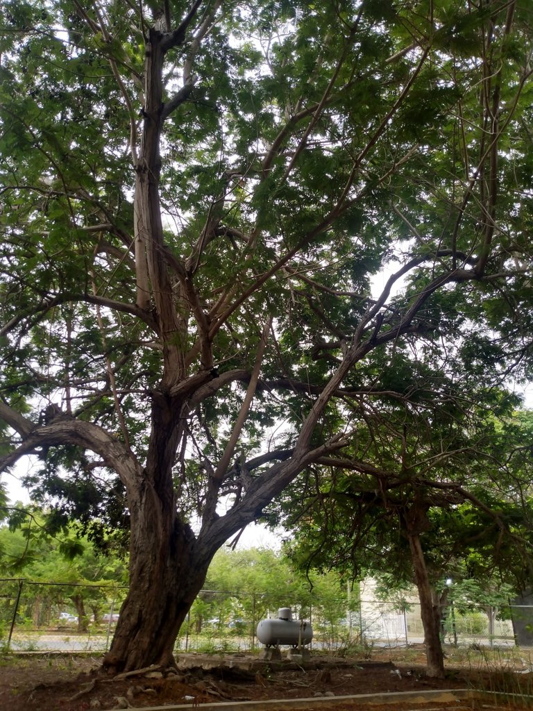 IMG_20240510_152848109_HDR.jpg