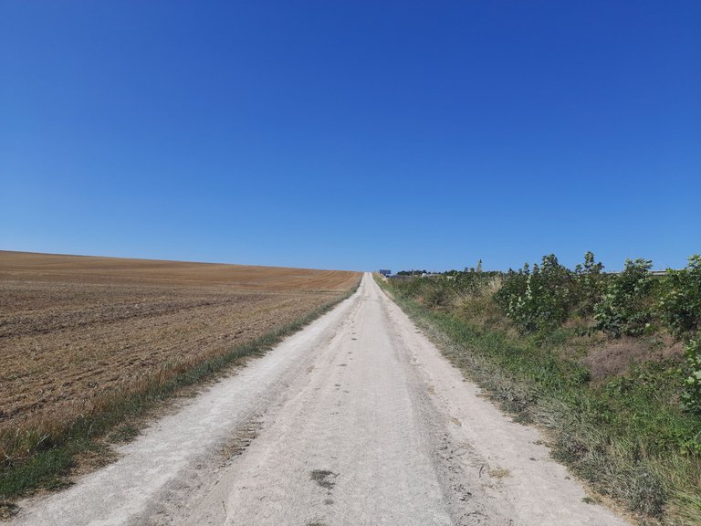 20220727_103706.jpg