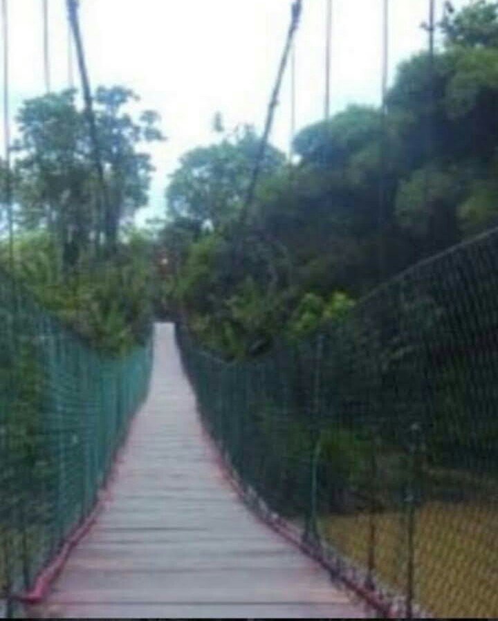 puente panaquire.jpeg