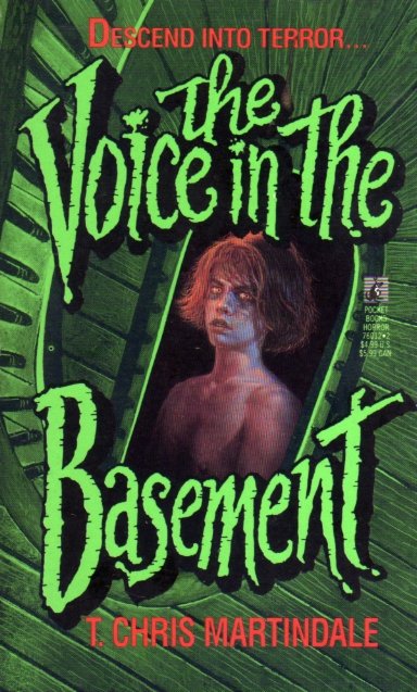 Voice in the Basement.jpg