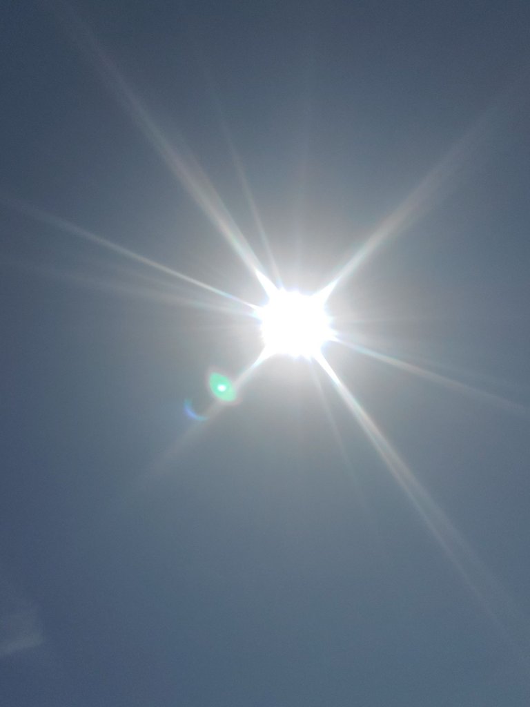 20240408_144407.jpg