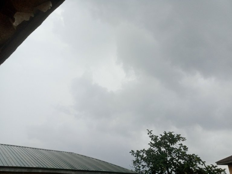 IMG_20250703_131410_601.jpg