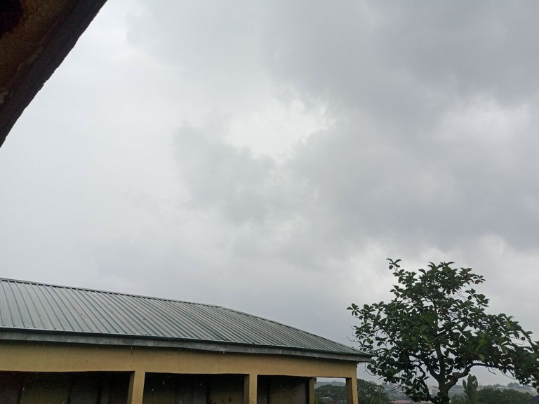 IMG_20250703_131445_178.jpg