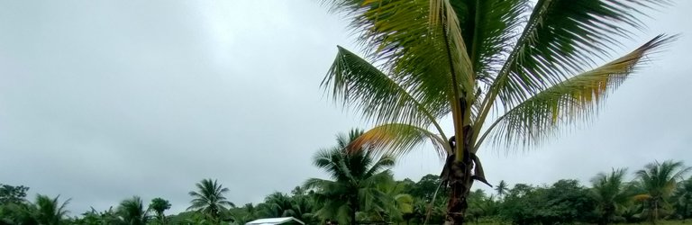 IMG_20230222_203739.jpg