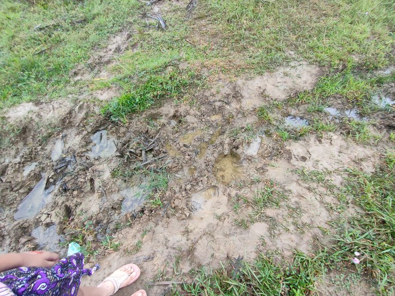 IMG20230218103835.jpg