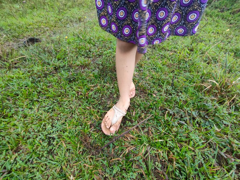 IMG20230218104334.jpg