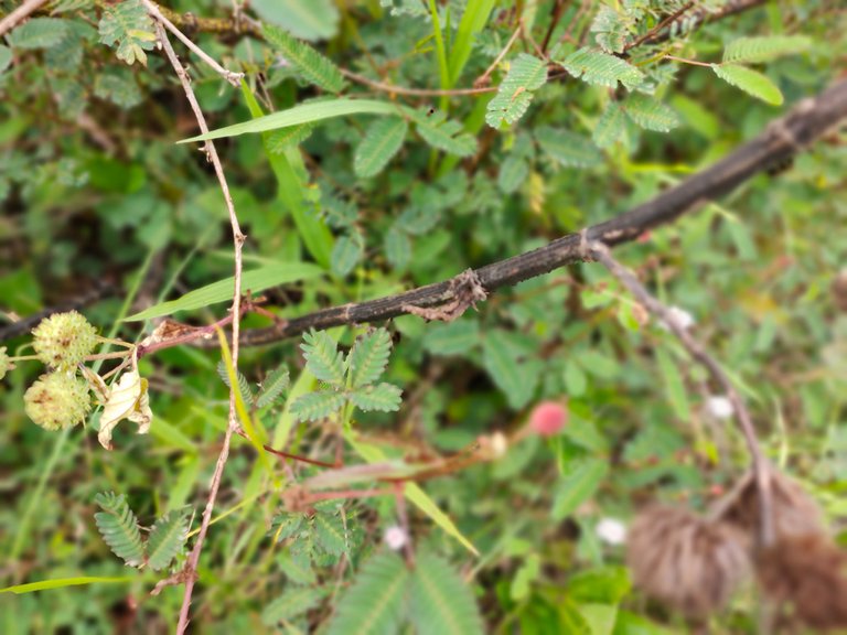 IMG20230311154232.jpg