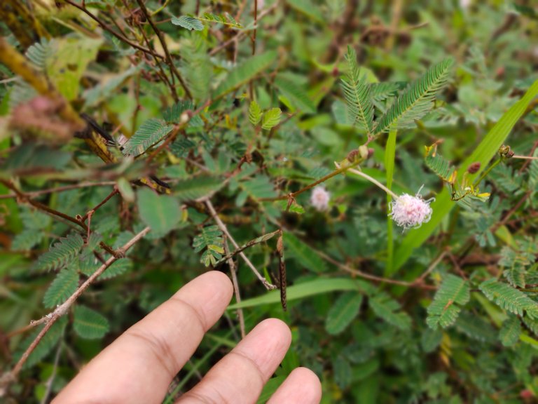 IMG20230311154248.jpg