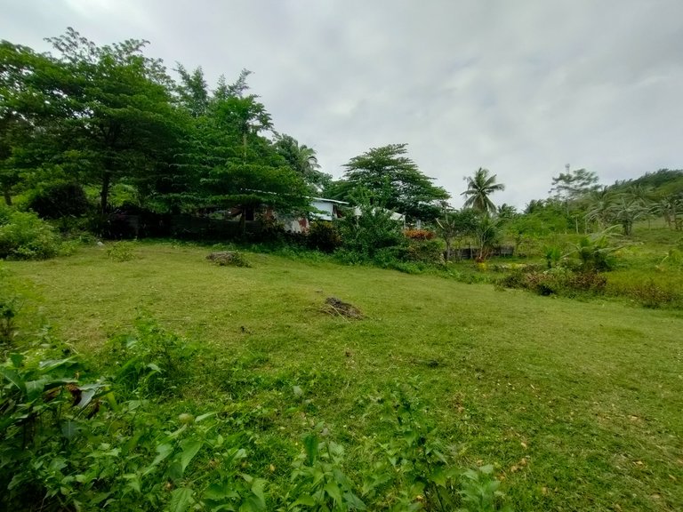 IMG20230311152416.jpg