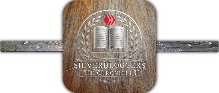 The Silverbloggers Chronicles - Prompt #02
