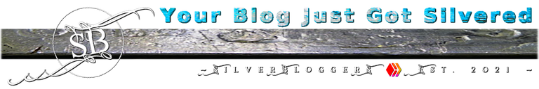 silver_blogsilver_blueish.png