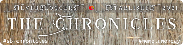 SB_Chronicles_Banner.png