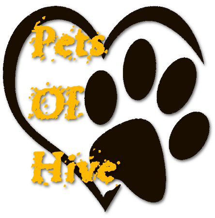 hivePet_Logo.png