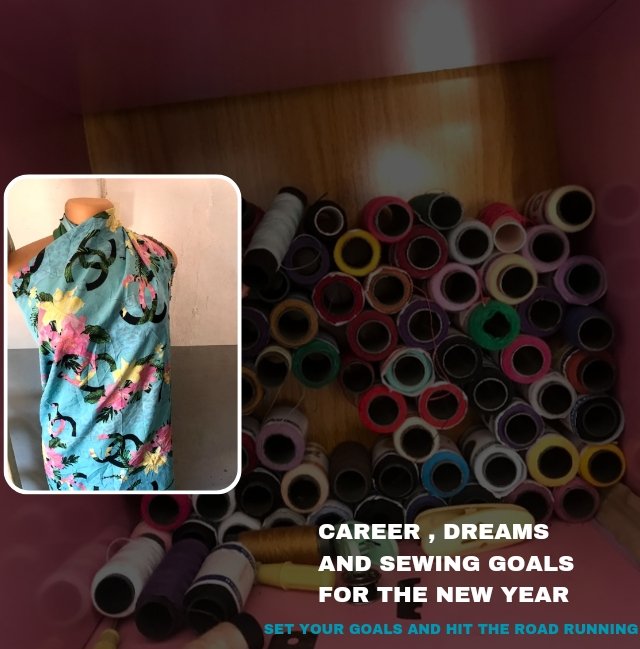 Career , Dreams and Sewing Goals for the new year 