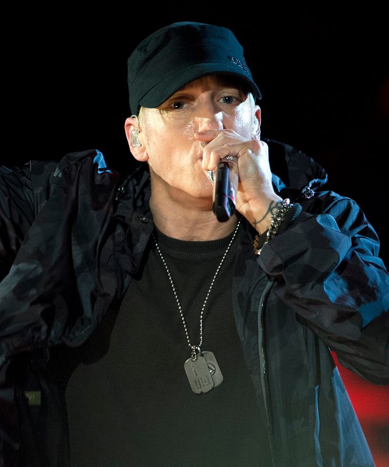 Eminem_-_Concert_for_Valor_in_Washington,_D.C._Nov._11,_2014_(2)_(Cropped) (1).jpg