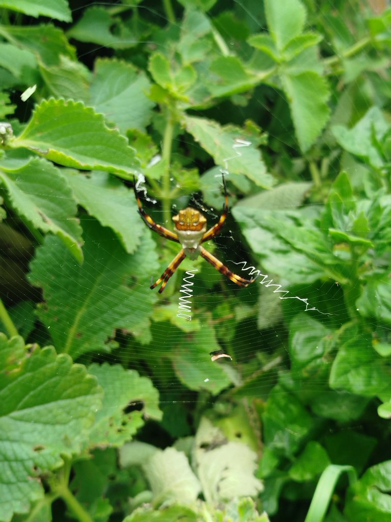 IMG_20250504_141110.jpg