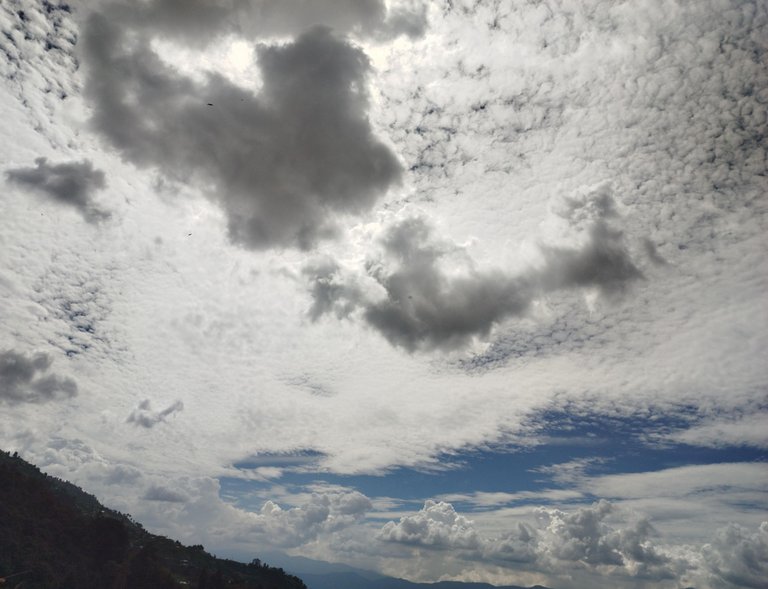 IMG_20250106_134008~2-min.jpg