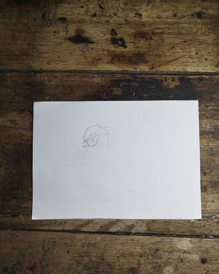 InShot_20250403_124301118.jpg