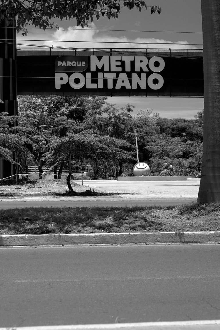 paseo_metropolitano_0009.jpg