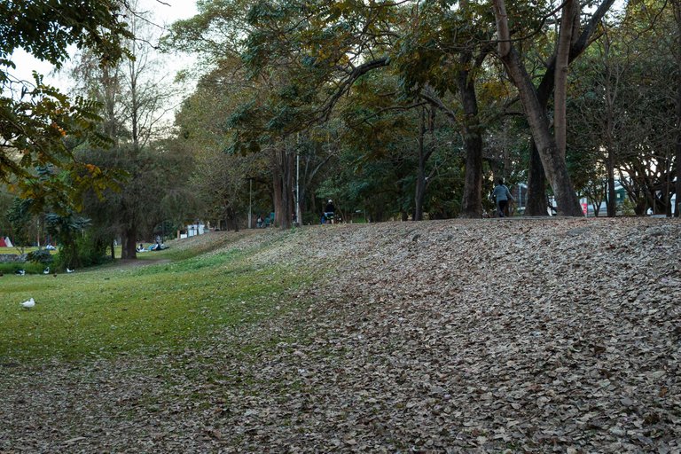 parque.jpg