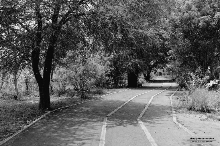 Parque_06_06_25_0001.jpg