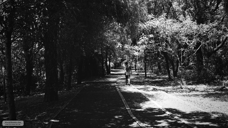 parque_222_0011.jpg