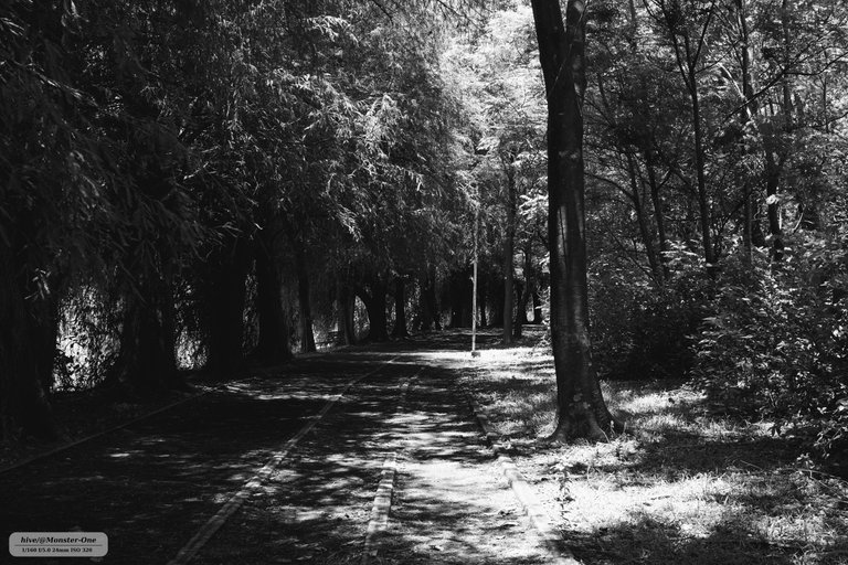 parque_222_0001.jpg