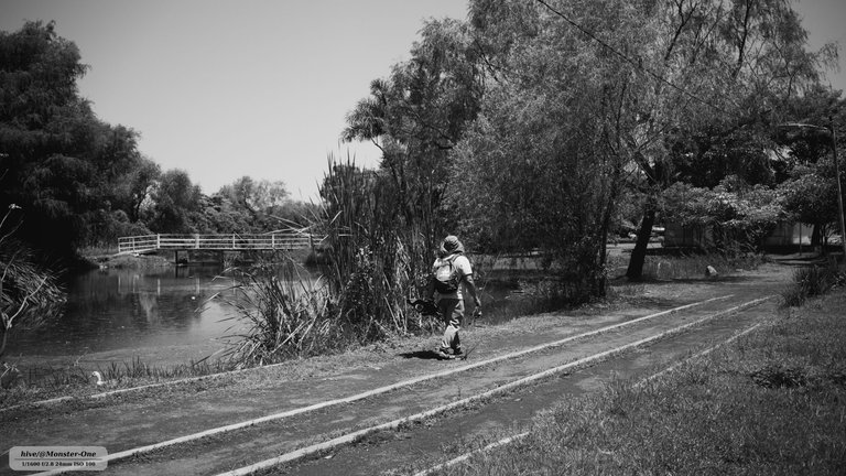 parque_22-07-25_0002.jpg