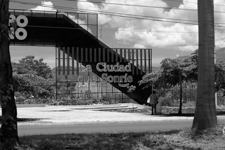 paseo_metropolitano_0010.jpg
