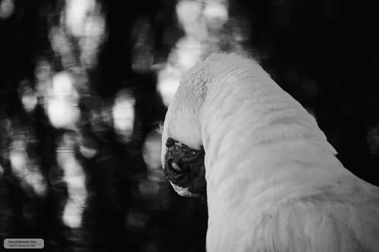 photofeed_bnw_0003.jpg