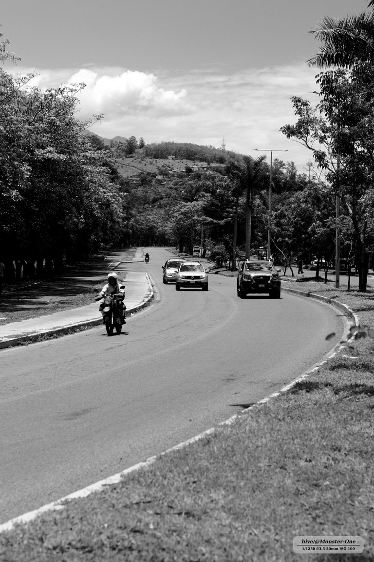 paseo_metropolitano_0002.jpg