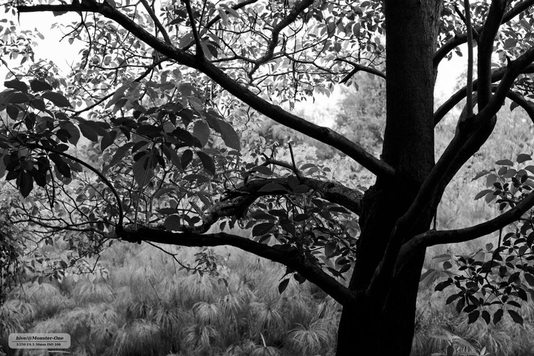 parque_ladrillos_0005.jpg