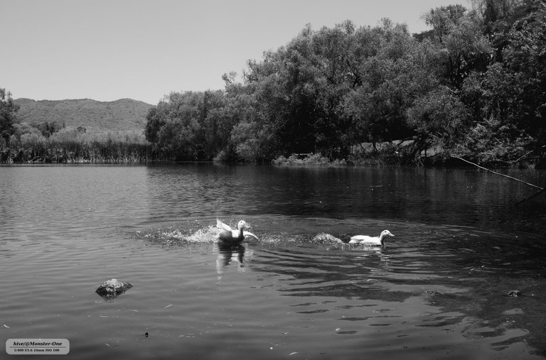 parque_222_0004.jpg