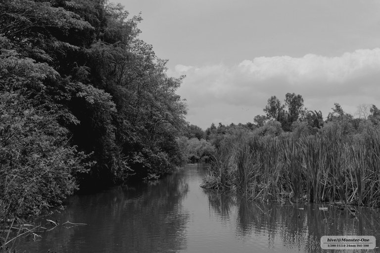 Parque_06_06_25_0003.jpg