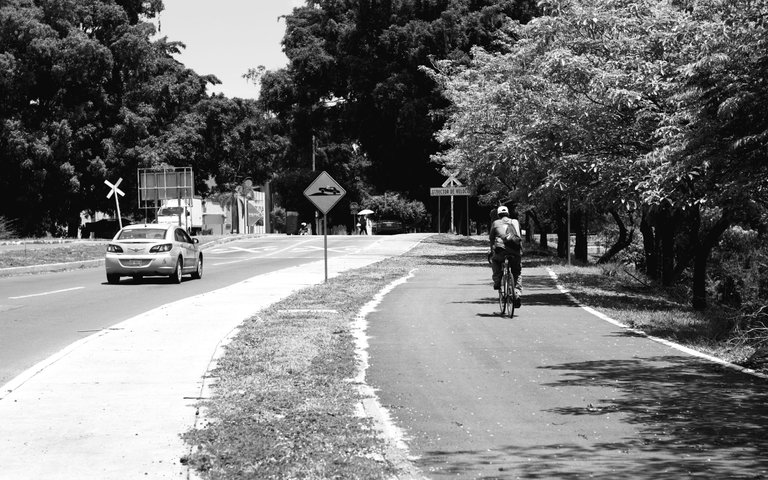 paseo_metropolitano_0003.jpg