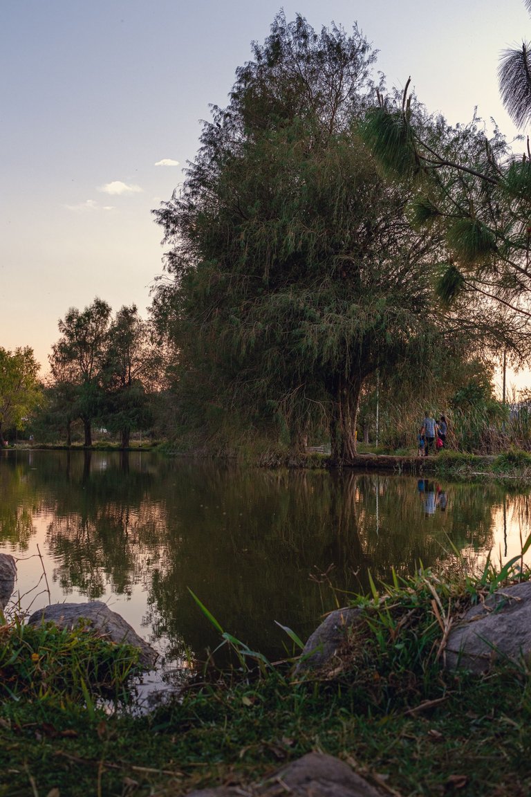 parque-2.jpg